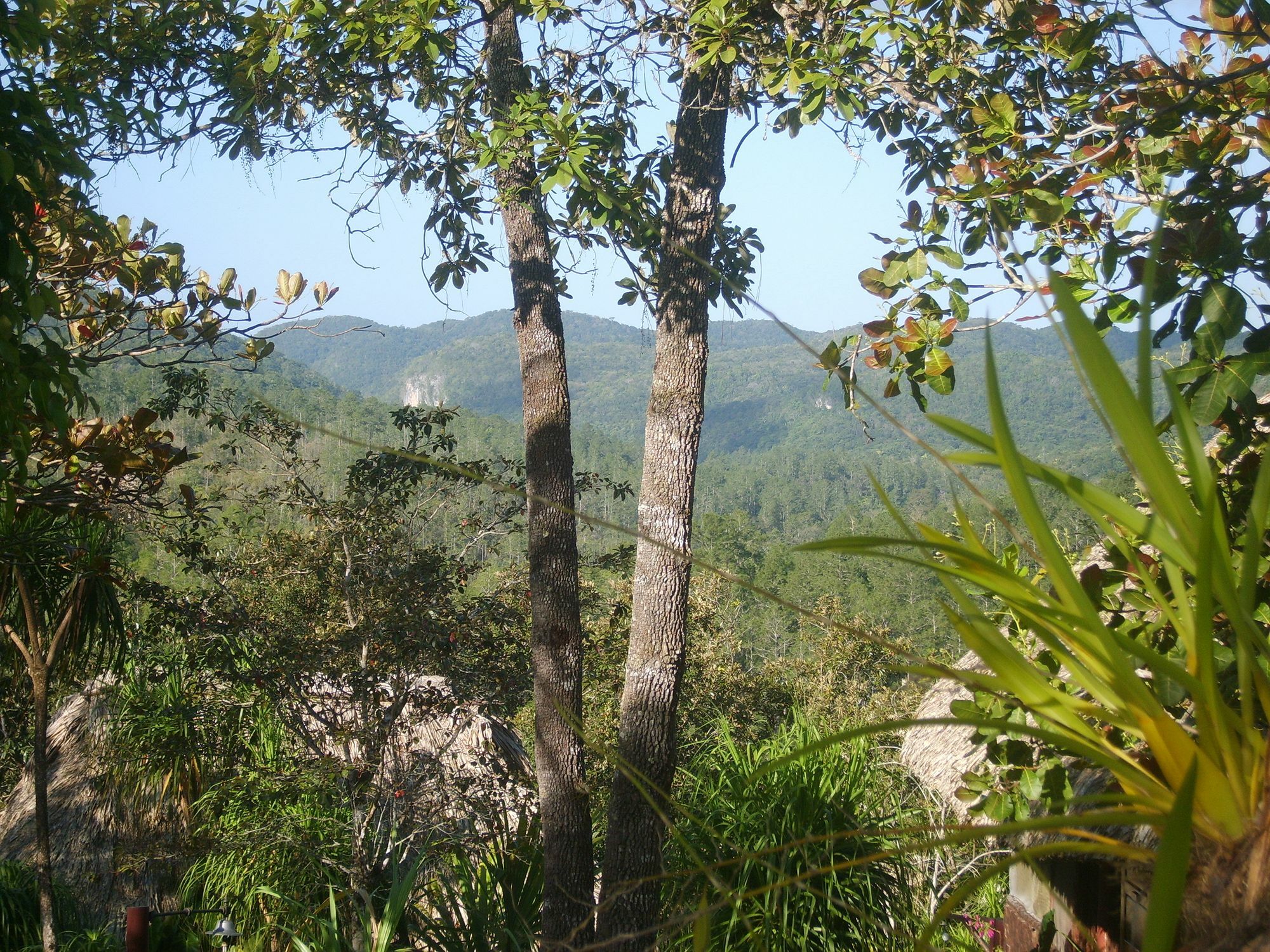 Gaia Riverlodge Unitedville Bagian luar foto